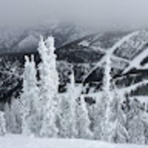 Meet your Posher, Jordyn